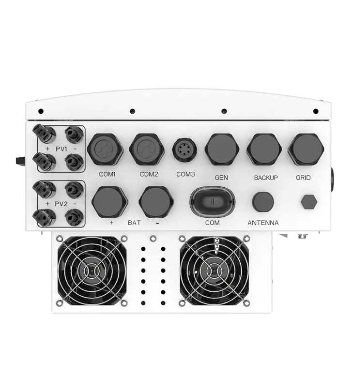 1733817676427_7fb3ee3a-16f0-48ba-96b7-4ddf74d08530-1